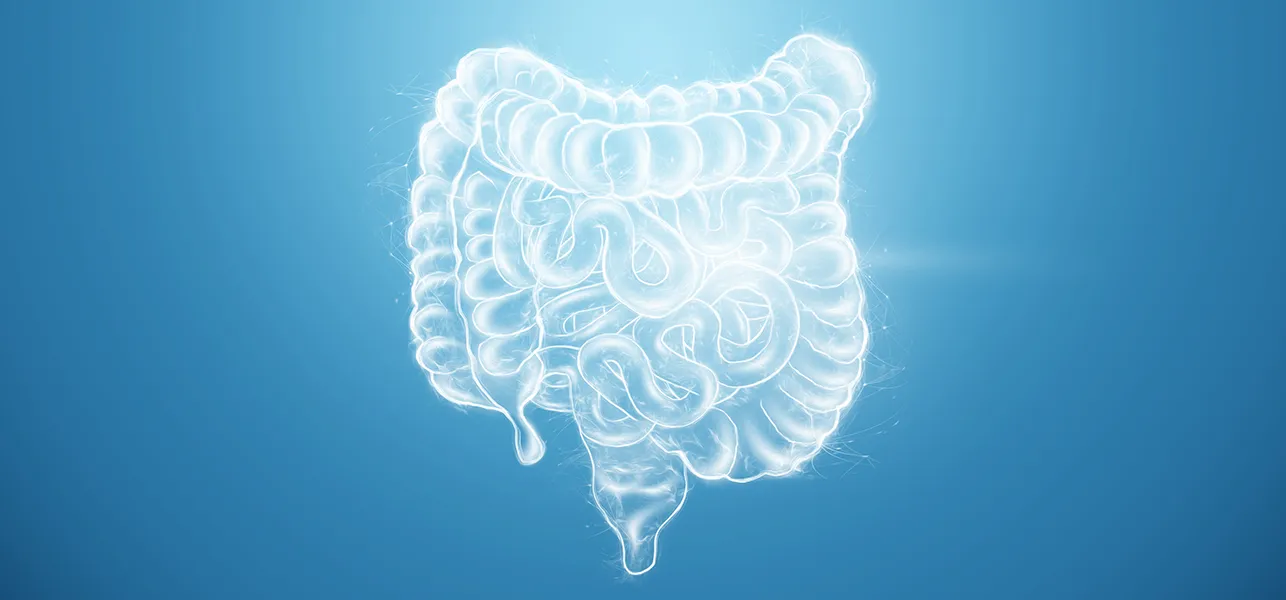 Dr Perkins Reveals 5 Reasons Why Every Woman Over 40 Should Pay Extra Attention to Their Gut