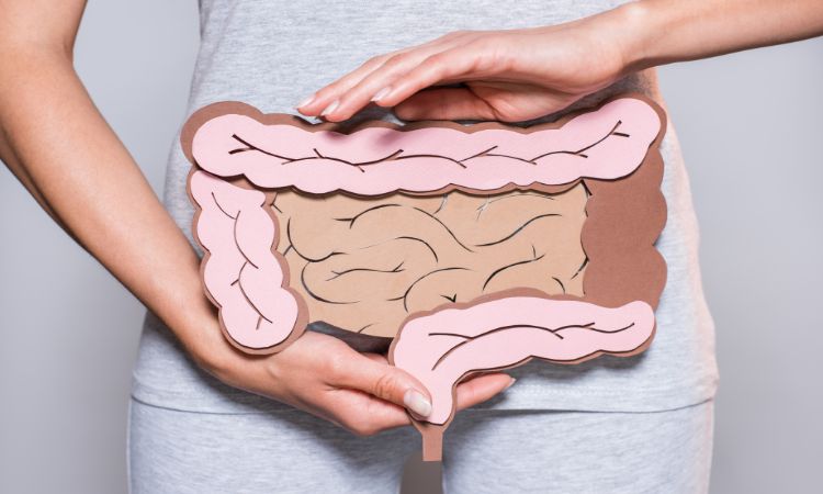 Dr Perkins Reveals 5 Reasons Why Every Woman Over 40 Should Pay Extra Attention to Their Gut