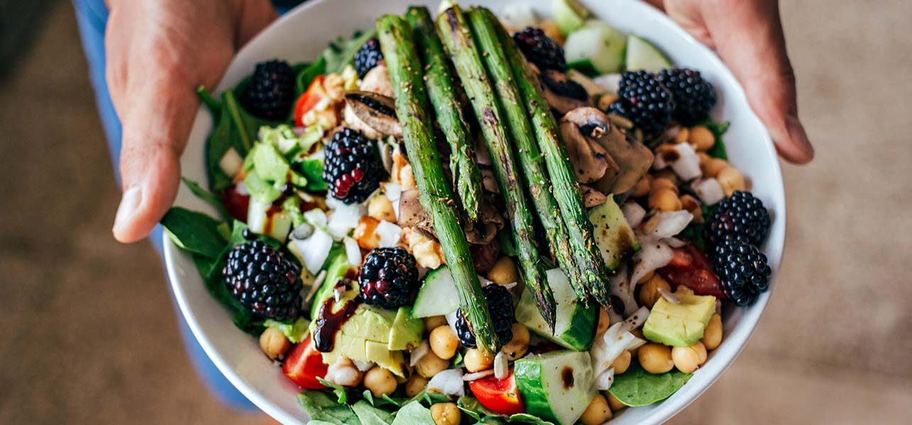 Close up picture of food bowl